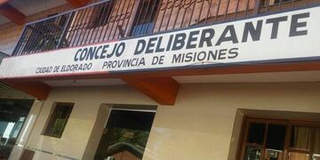 Solicitaron el apeo de un árbol declarado patrimonio histórico en Eldorado