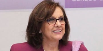 Descuido virtual de una senadora mexicana (Web)