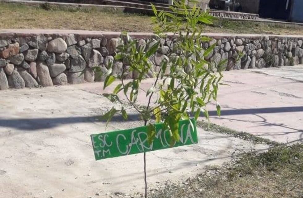 Chilecito: estudiantes plantaran 100 árboles para festejar el centenario de su escuela