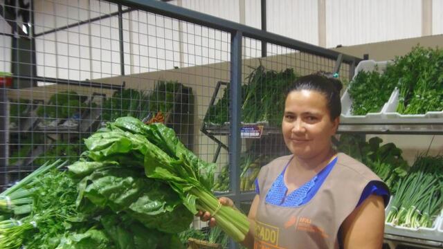 Primera Expo Concentradora en Oberá\u002E