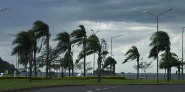 Imagen archivo\u002E