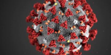 Coronavirus\u002E (AFP)