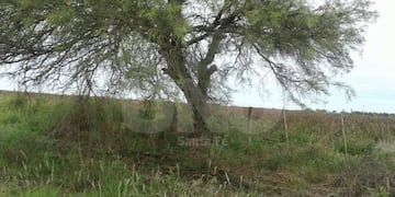 Encontraron muerto a un hombre que baleu00f3 a su novia y a un amigo de ella