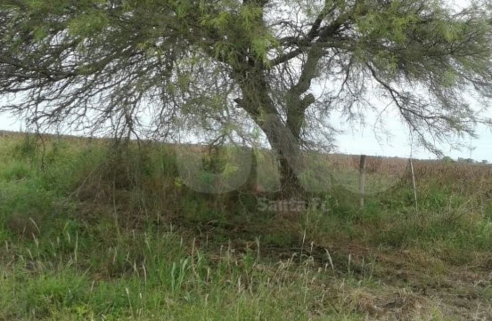 Un hombre le disparó a su novia, a un amigo de ella y se suicidó