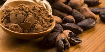 Los beneficios del cacao\u002E
