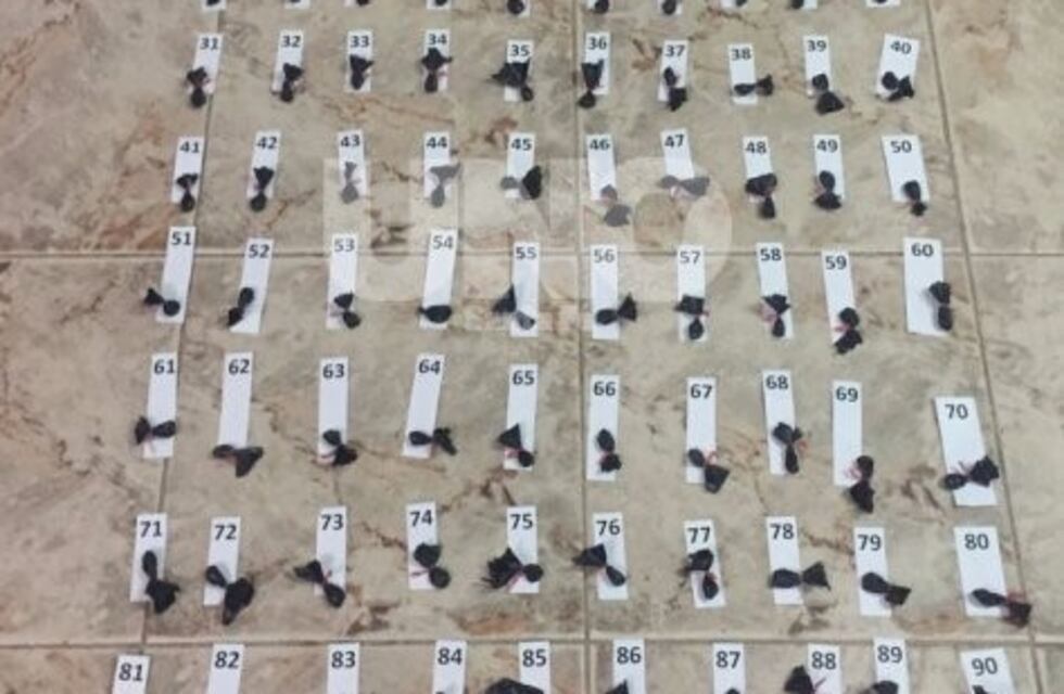 Desbaratan una banda narco ligada a Los Monos que operaba desde la cárcel