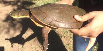 El Cabra Corral sin contaminación por la pandemia (Raúl Mahr)