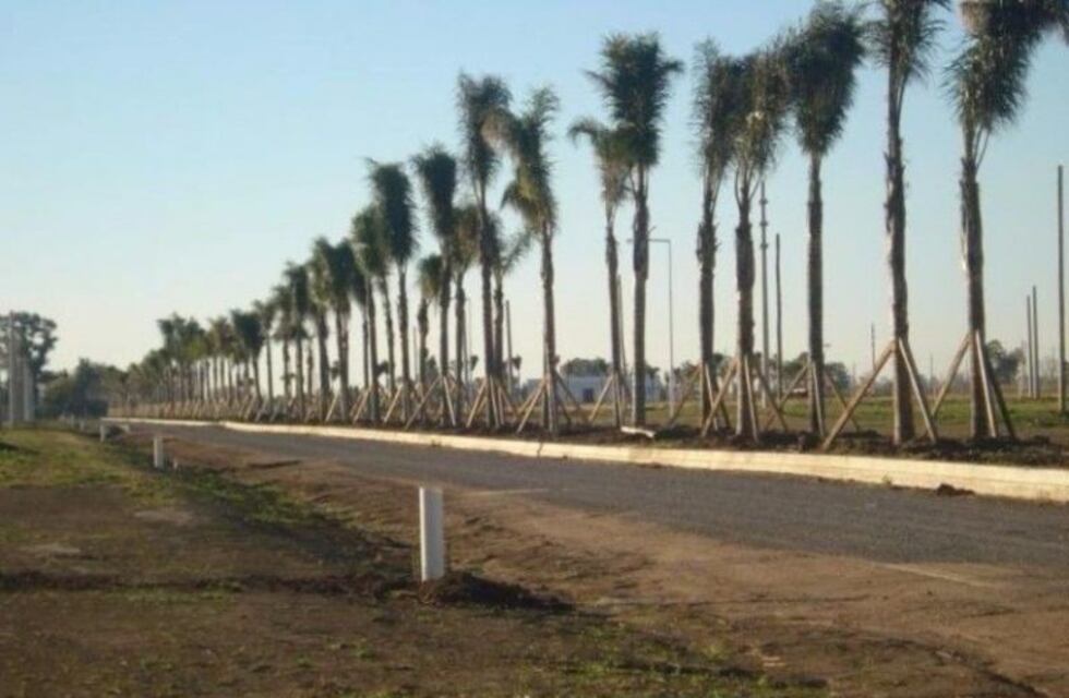 Alarmante saga de escruches en un loteo de Funes