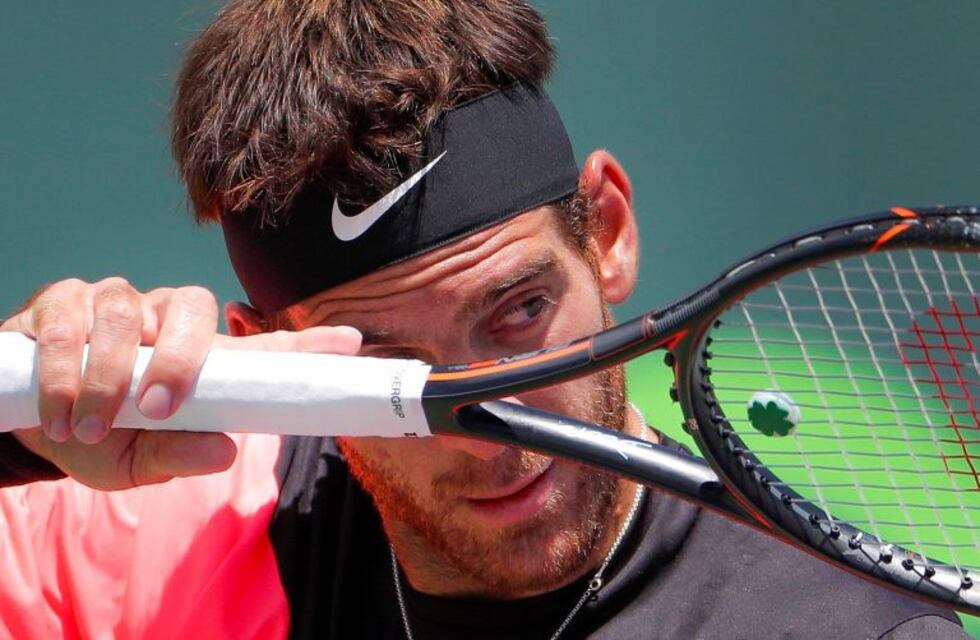 Del Potro: "Parece que si no gano un torneo no sirvo"