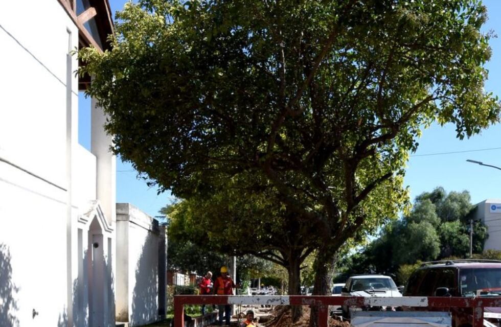 Avanza la obra de cloacas en el Cerro de las Rosas y siguen los trabajos