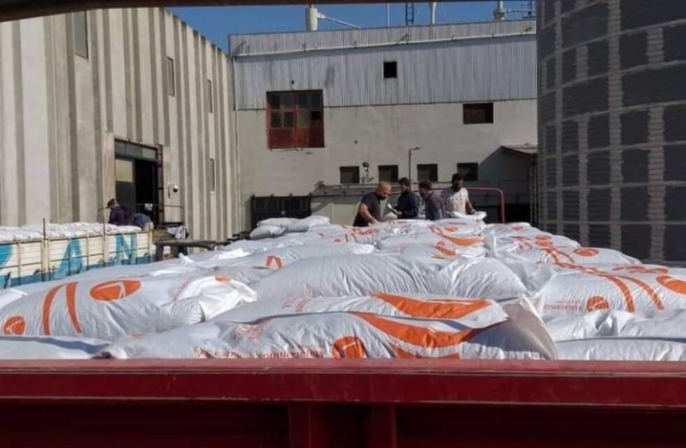 Exportan porotos negros desde Los Altos a Ecuador y Chile