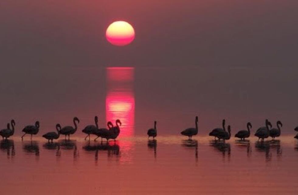 El clima en la región de Ansenuza para este jueves