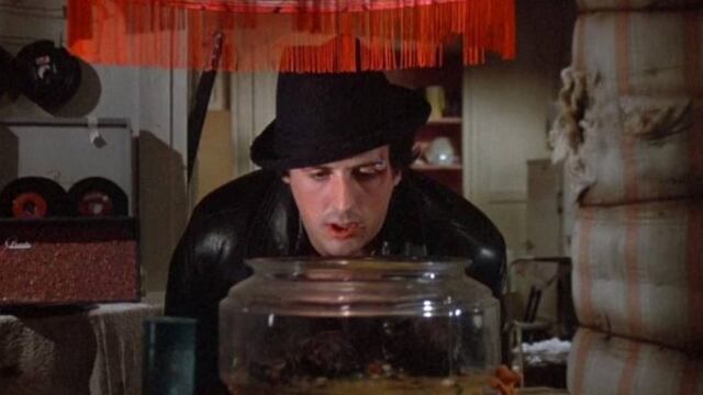 Sylvester Stallone conservó las tortugas que Rocky le regaló a Adrian en la primera película