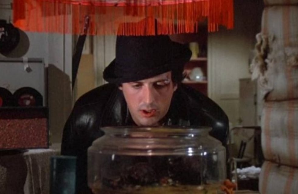 Sylvester Stallone conservó las tortugas que Rocky le regaló a Adrian en la primera película