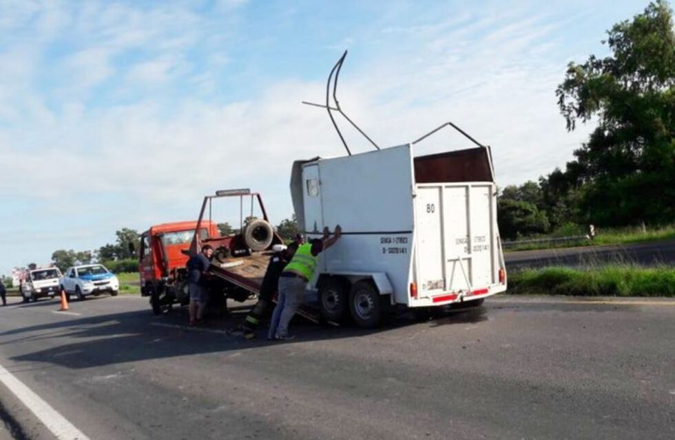 Volcó un tráiler con dos caballos de carrera en la autovía 12