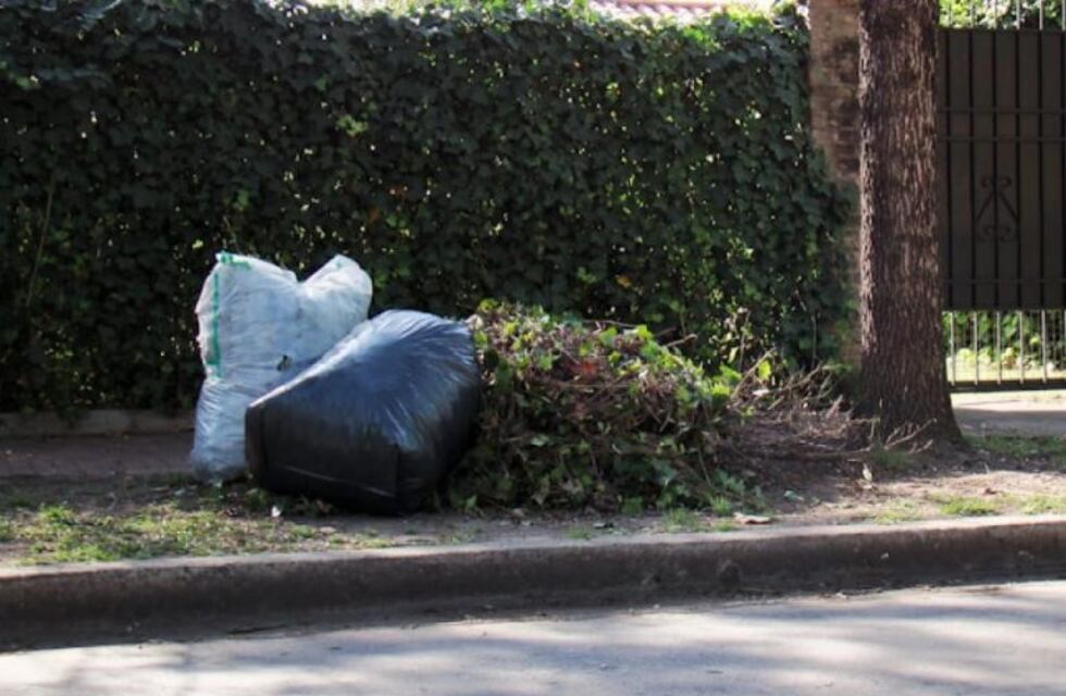 Cronograma de recolección de residuos voluminosos