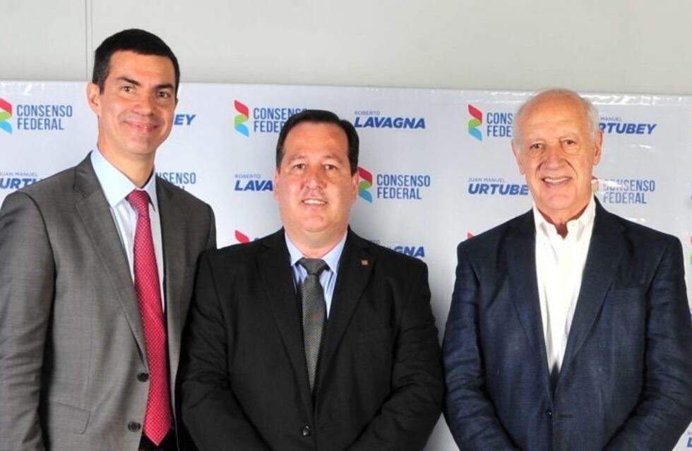 Snopek sostiene que "Lavagna es la única alternativa seria y responsable"