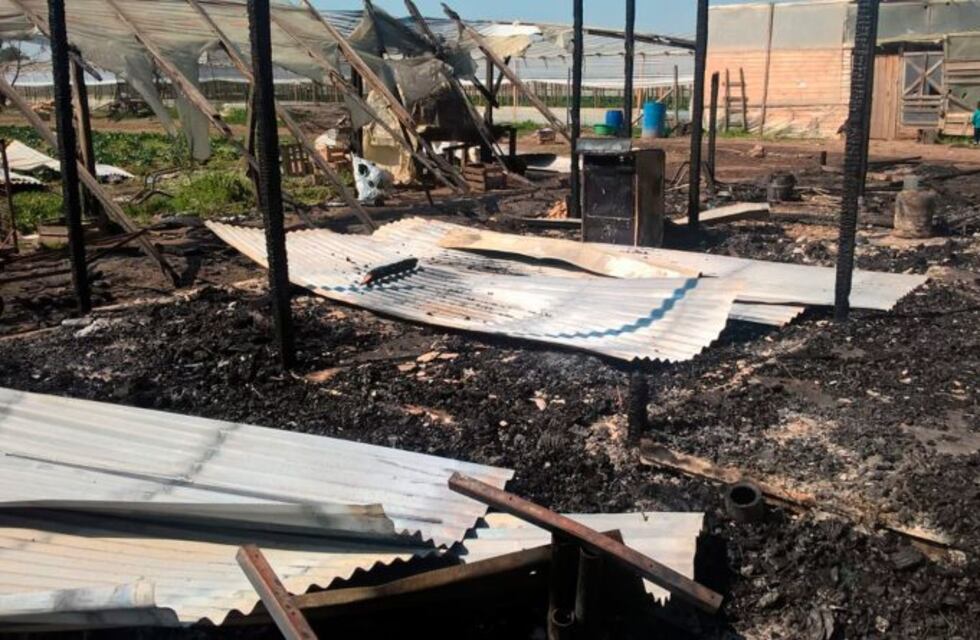 Incendio en Abasto: dos familias quedaron en la calle y piden ayuda