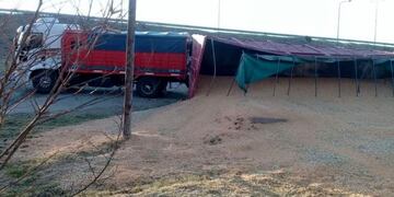 El camión volcó y perdió 30 toneladas de maíz\u002E