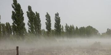 Fuerte granizada se produjo en el departamento de San Rafael\u002E