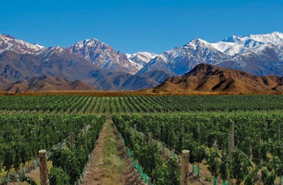 El Valle de Uco es la zona vitivinícola que más creció en los últimos 10 años a nivel nacional