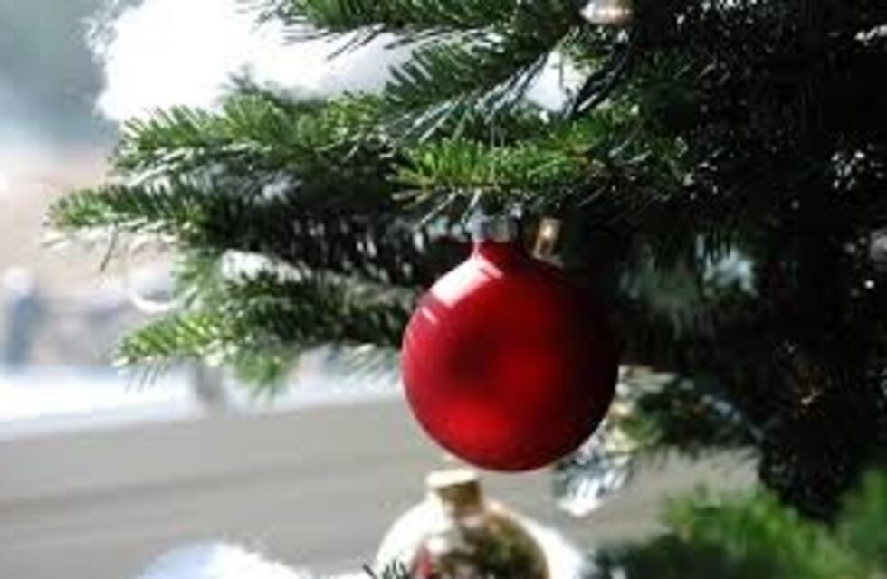 ¿Mesa adentro o afuera? Cómo estará el clima en Navidad