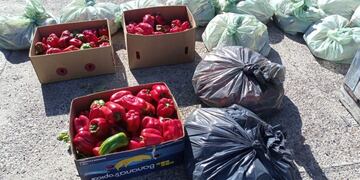 Funcionarios de Viedma repartieron frutas y verduras a comedores