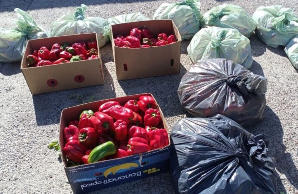 Funcionarios de Viedma repartieron frutas y verduras a comedores