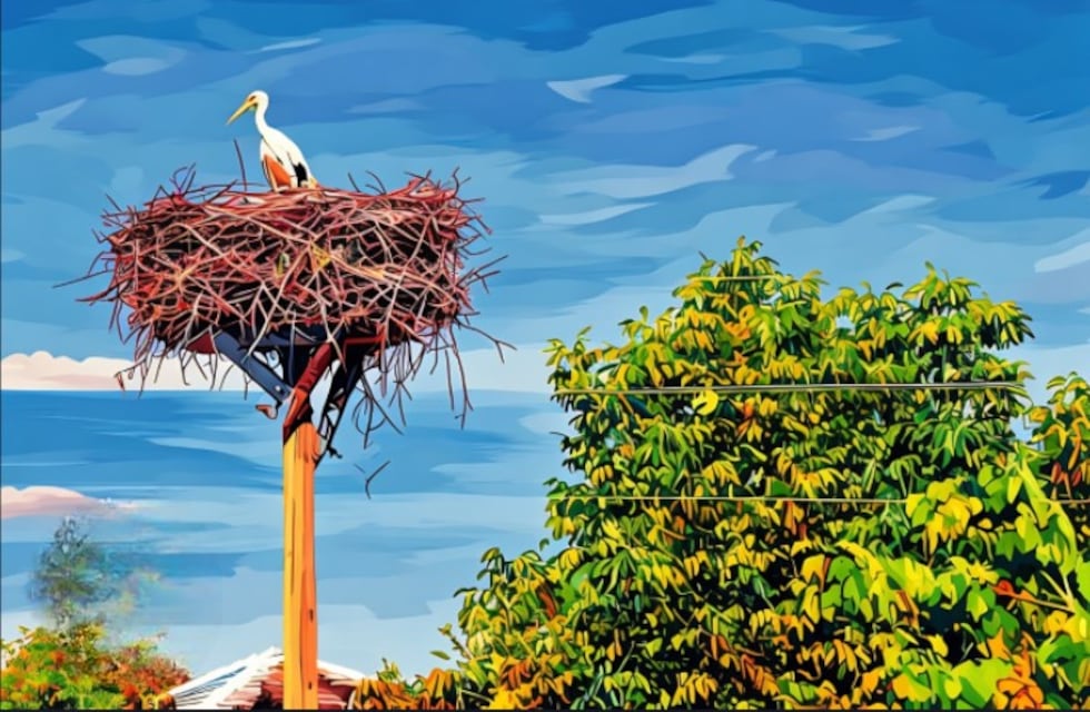 Pinceladas literarias: “Los pájaros ponen huevos” un cuento de Tomás Desperes