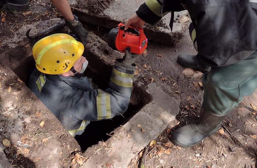 Bomberos de San Francisco rescataron dos perros este martes