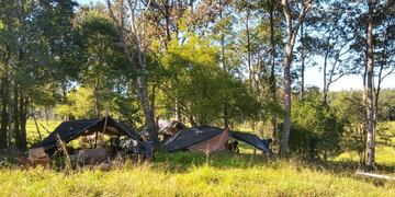 Detectan irregularidades en un campamento de yerbales en Santa Rita