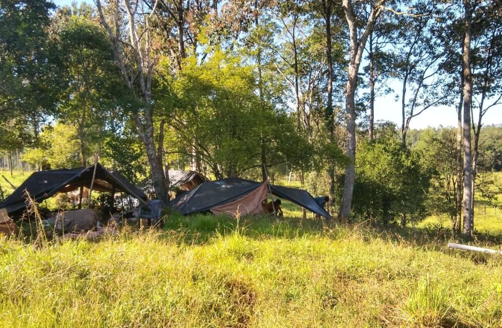 Detectan irregularidades en un campamento de yerbales en Santa Rita
