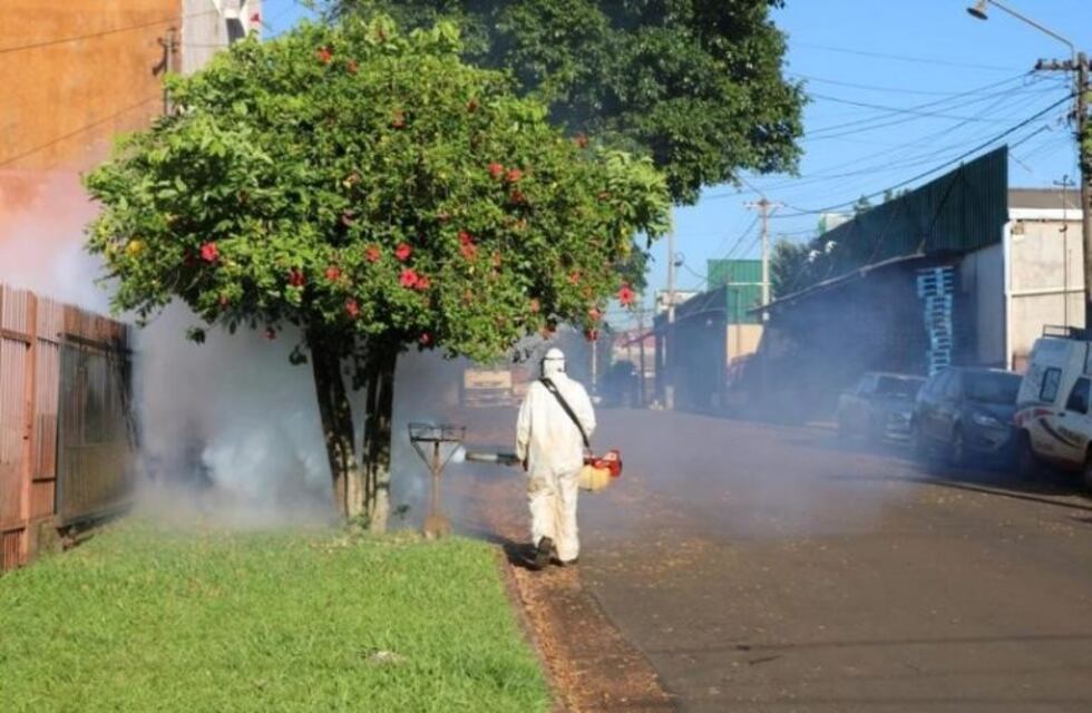 Continúan las tareas de prevención del dengue en Oberá