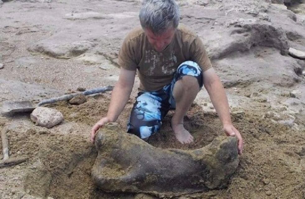 Encontraron fósiles de perezosos gigantes de 100 mil años en Miramar
