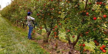 Neuquén gestionó más de $50 millones para emprendimientos productivos durante 2018\u002E