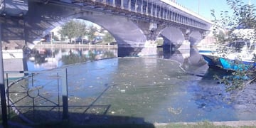 Limpieza del Lago San Roque