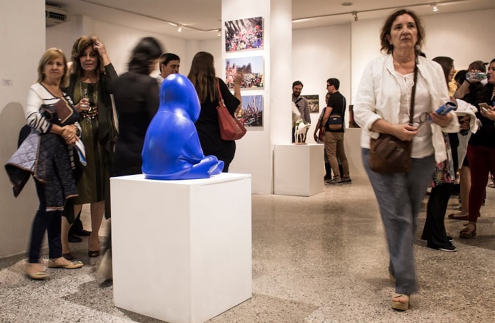 Definieron los finalistas del Premio UNNE para las Artes Visuales