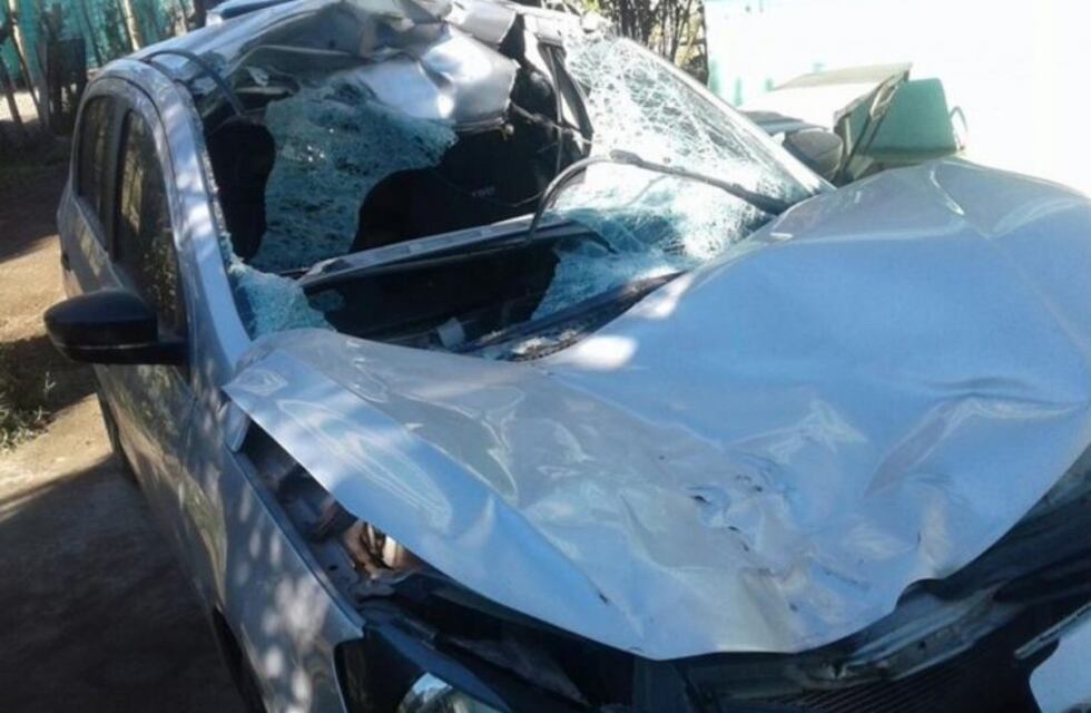 Se salvó de milagro: tremendo accidente por un animal suelto