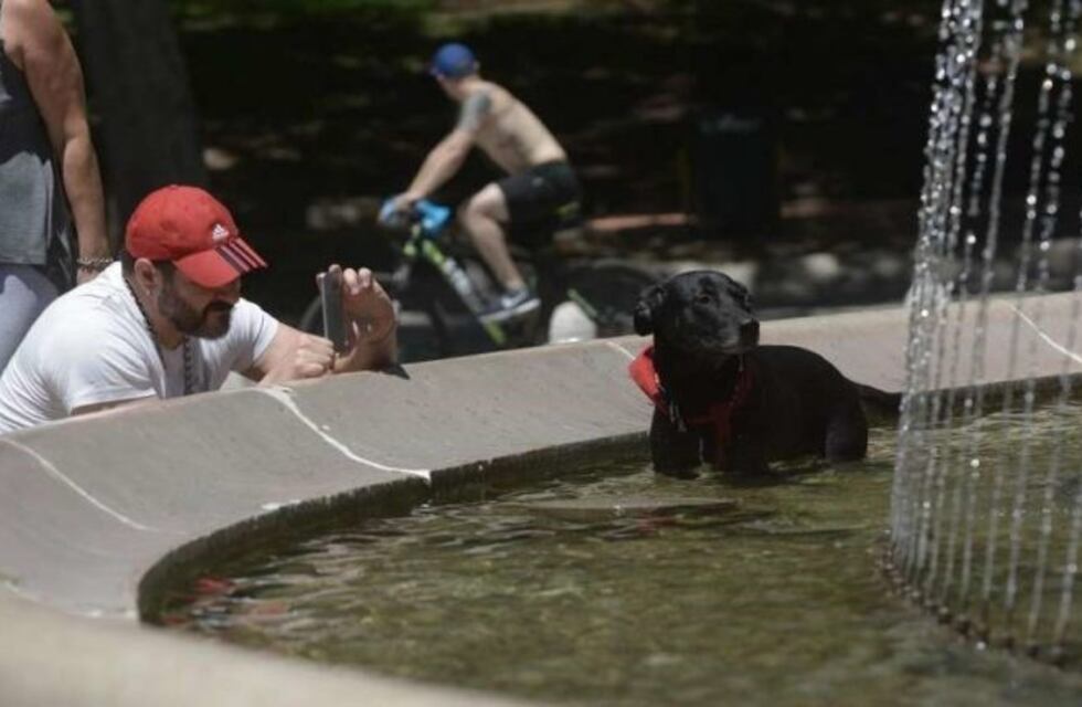 Ola de calor: para este martes se espera una máxima de 38°