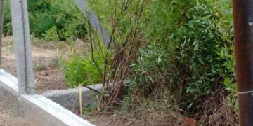 Robaron 70 metros de alambrados en dos días\u002E