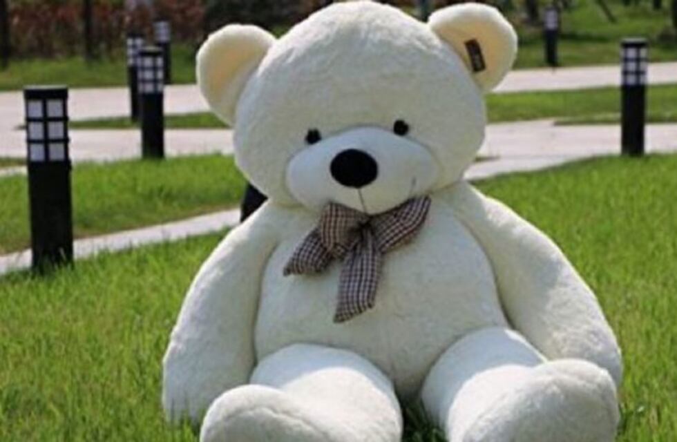 ¿Por qué la foto de este peluche gigante se hizo viral?