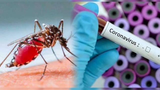 Dengue - Coronavirus