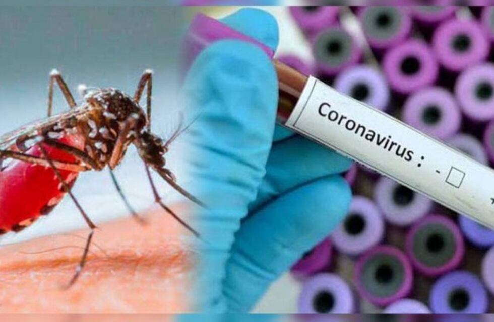 Catamarca sigue sin casos de coronavirus pero confirmaron 226 casos de dengue