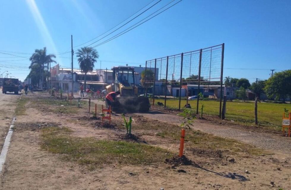 Desmantelaron las construcciones irregulares en el Mercadito y el Circuito Cinco