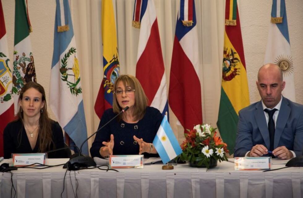 Pinedo reconoció que el Gobierno tiene dudas sobre el proceso para remover a Gils Carbó