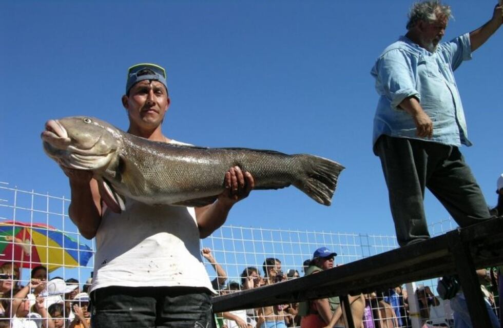 Se presentó la Fiesta Nacional del Salmón de Camarones