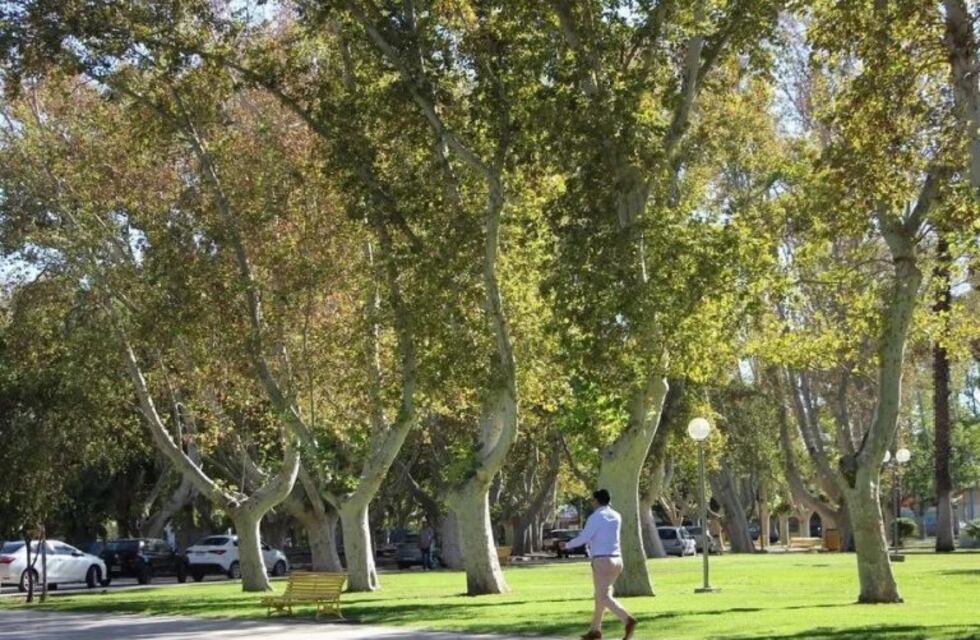Jornada cálida y buen tiempo para este domingo en San Juan