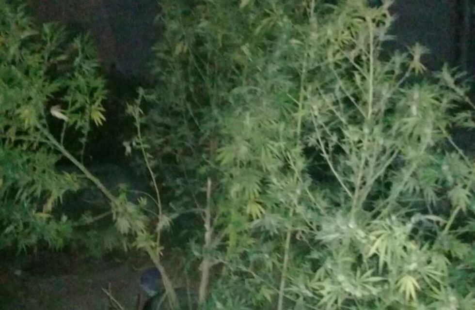Secuestraron una tumbera y marihuana tras una persecución en Villa Gobernador Gálvez