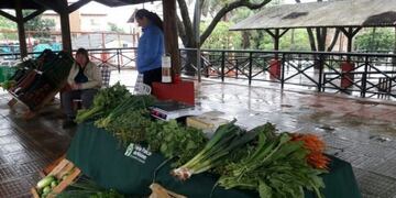 Las hojas verdes ya escasean en las ferias francas de Oberá\u002E