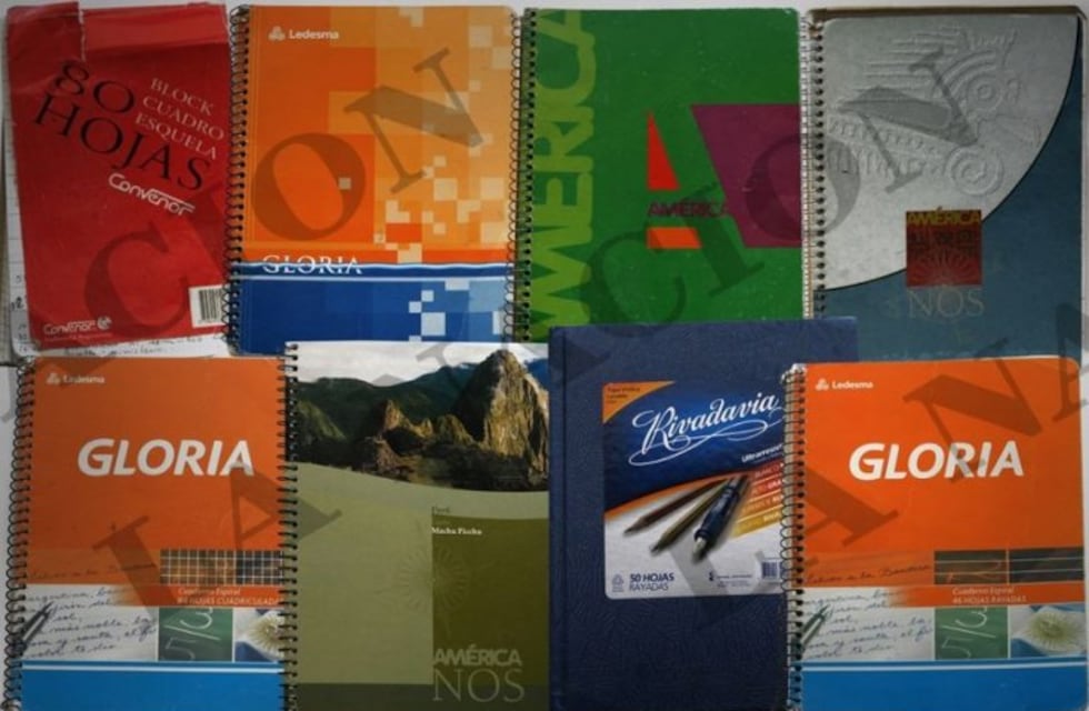 Allanaron el Municipio de Villa Santa Rosa